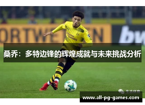 桑乔：多特边锋的辉煌成就与未来挑战分析